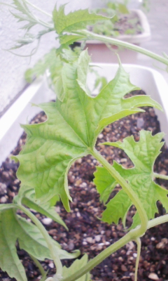 100526_160936.jpg