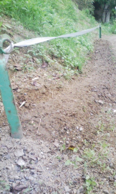 100526_160958.jpg