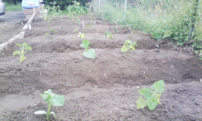 100527_165540.jpg