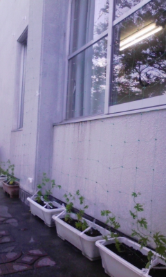 100531_163408.jpg