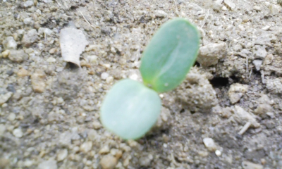 100602_161953.jpg