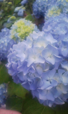 100607_152826.jpg