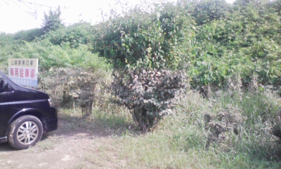 100717_153601.jpg