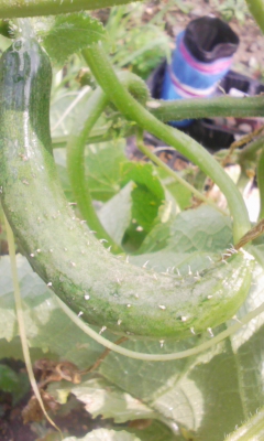 100722_150426.jpg