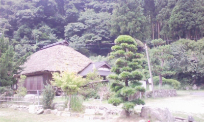 100803_103320.jpg
