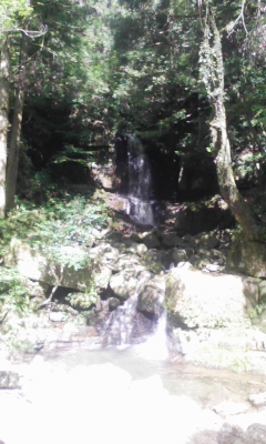 100806_093950.jpg