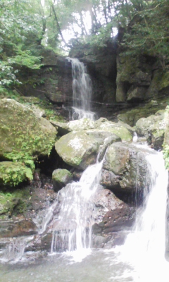 100806_094257.jpg