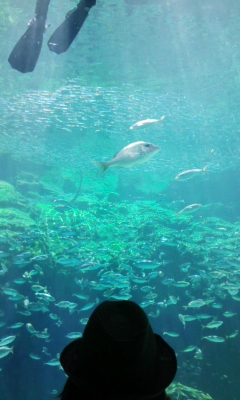 100808_102904.jpg