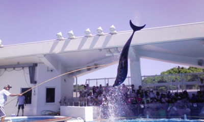 100808_103749.jpg