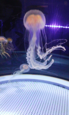 100808_104856.jpg