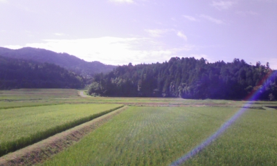 100815_093140.jpg