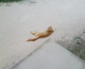 100825_183104.jpg