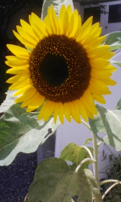 100901_121404.jpg