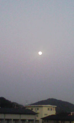101220_172205.jpg