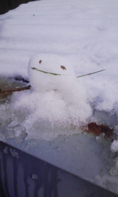 110102_113109.jpg