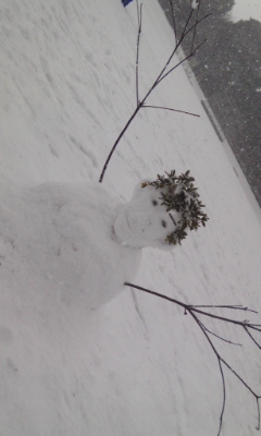 120202_143403.jpg