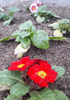 200711301628000.jpg