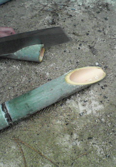 200712101616000.jpg