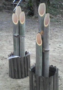 200712101625000.jpg