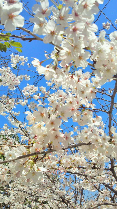 2011040611410000.jpg