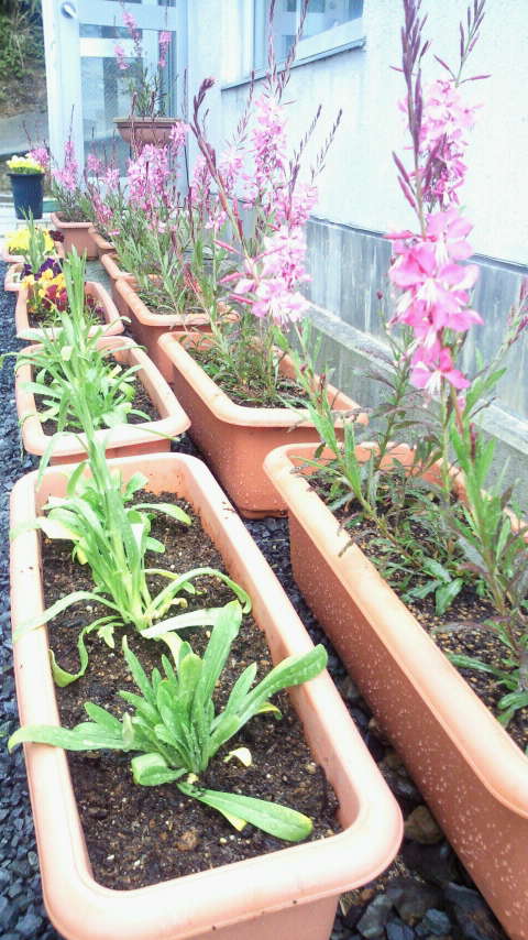 2011040716200000.jpg