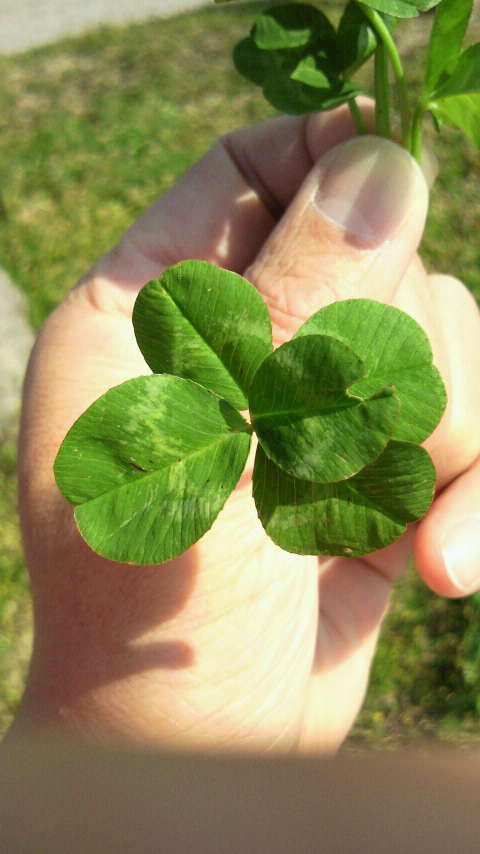 2011042415110000.jpg