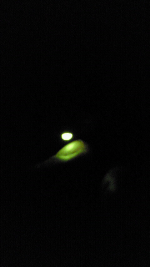 2011053120000000.jpg