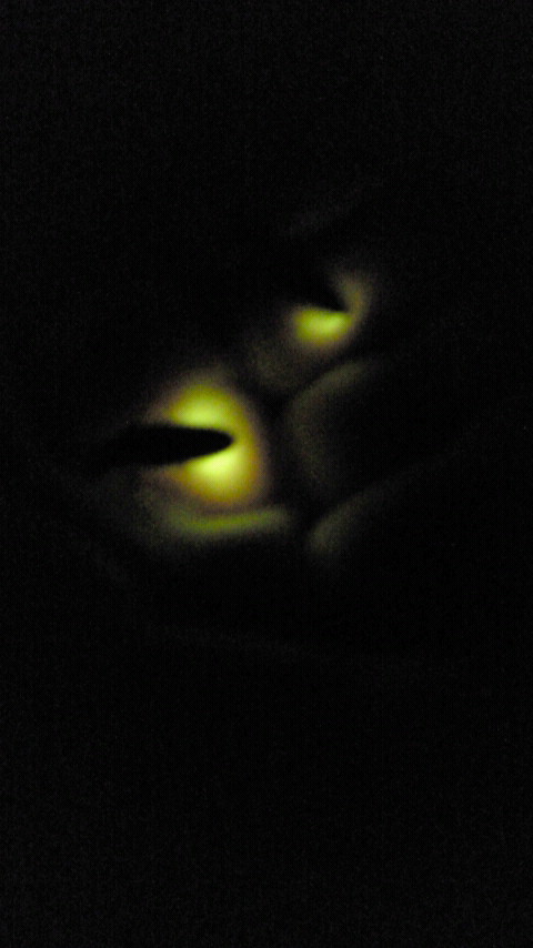 2011053120050000.jpg