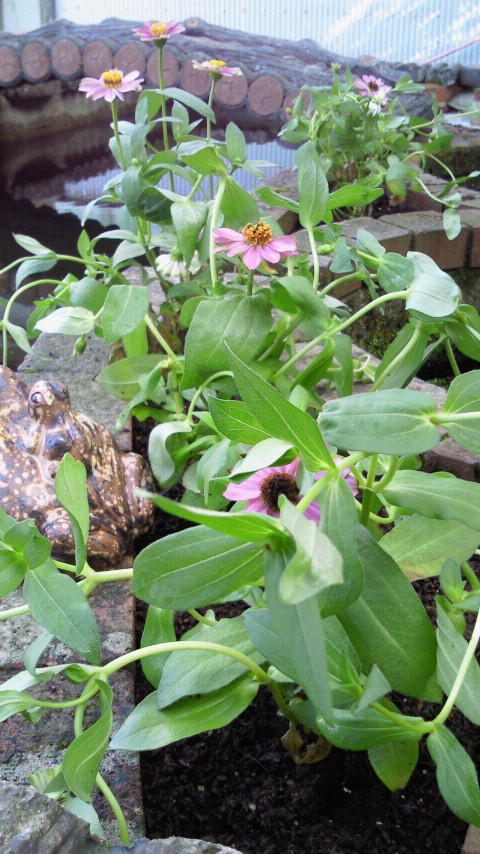 2011072216260000.jpg