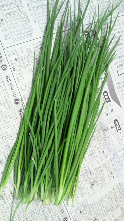 2011092811540000.jpg