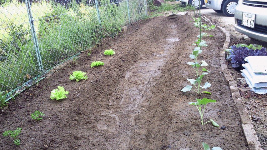 2011092815220000.jpg