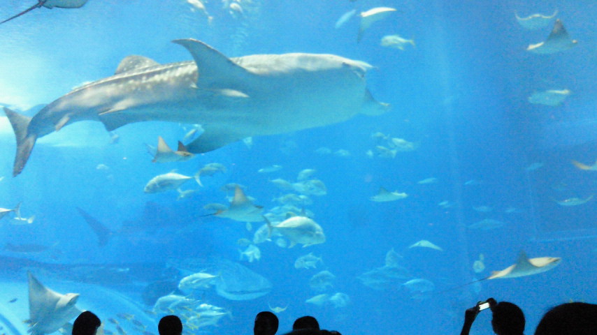 2011101311080000.jpg
