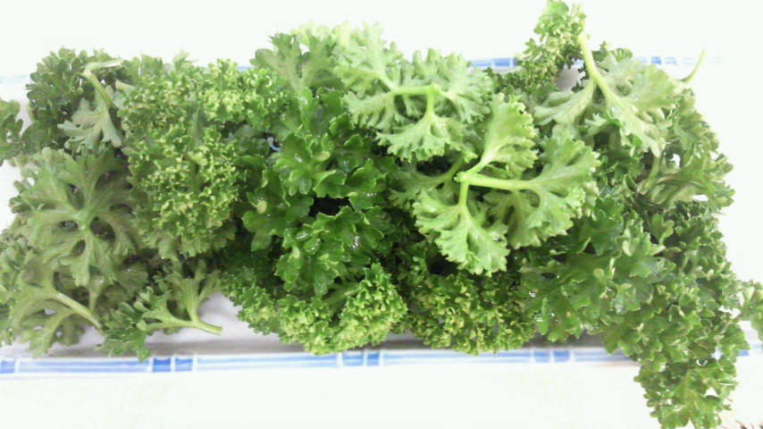 2011122711400000.jpg