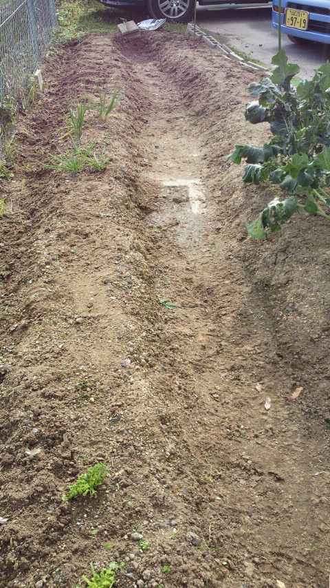 2011122711440000.jpg