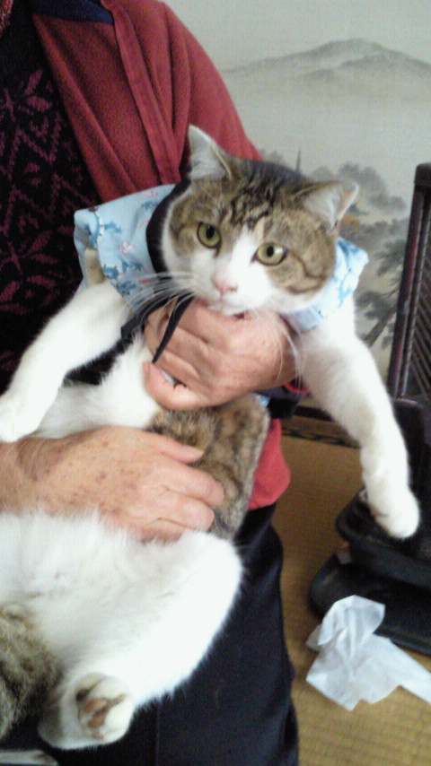2012010211050000.jpg