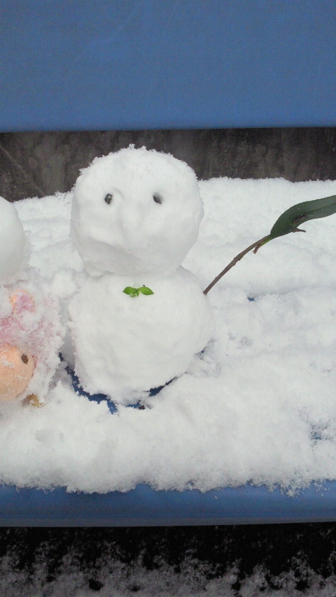 2012020212340000.jpg