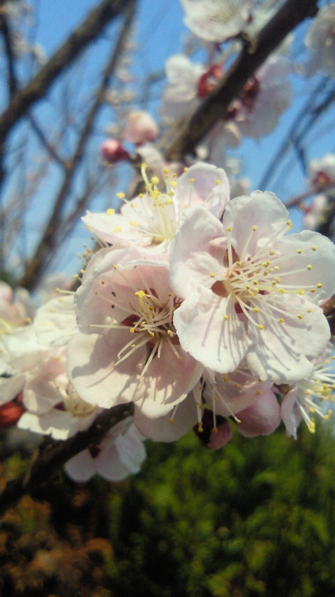 2012032714400000.jpg