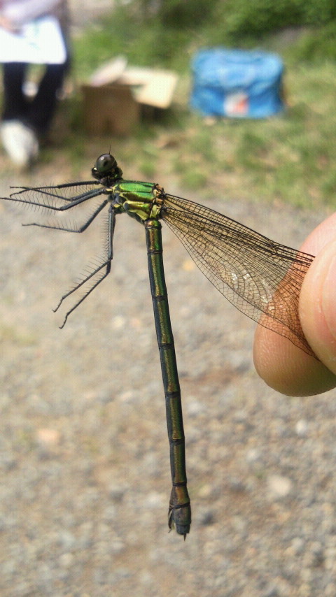 2012042914030000.jpg