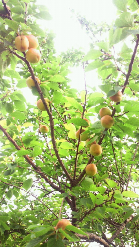 2012060107140000.jpg