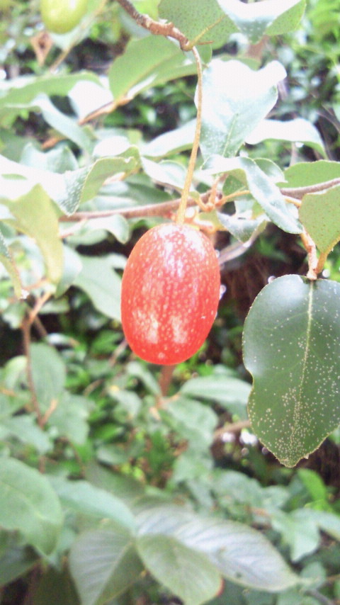 2012060107150000.jpg