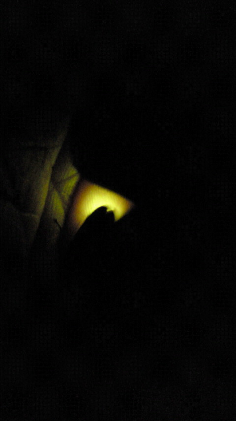 2012061020240000.jpg