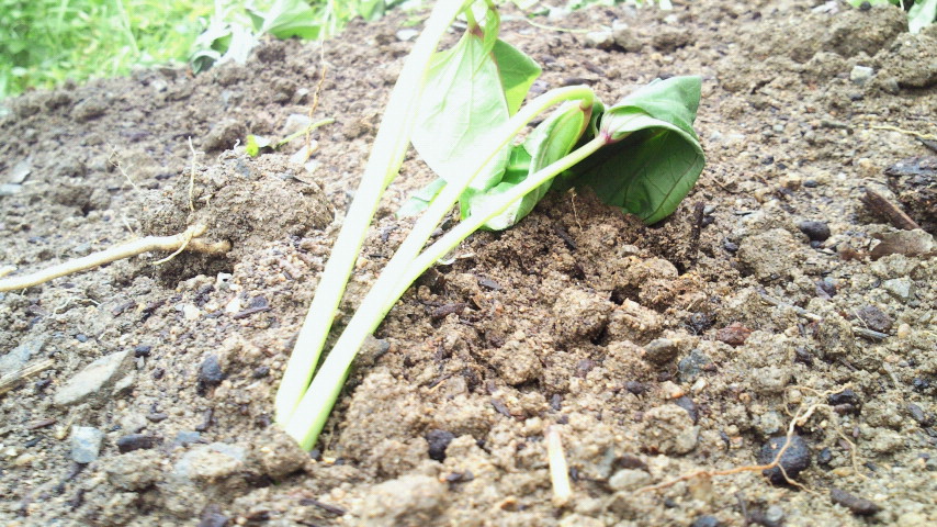 2012061115340000.jpg
