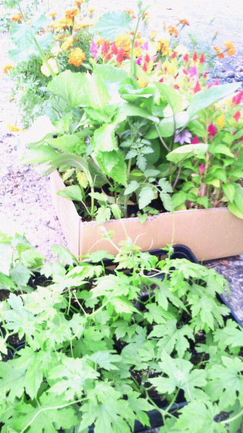 2012061115340001.jpg