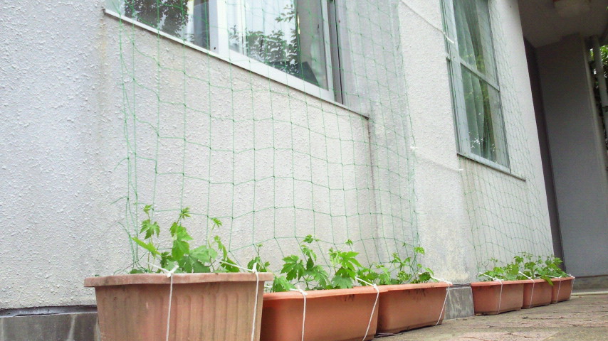 2012061116450000.jpg
