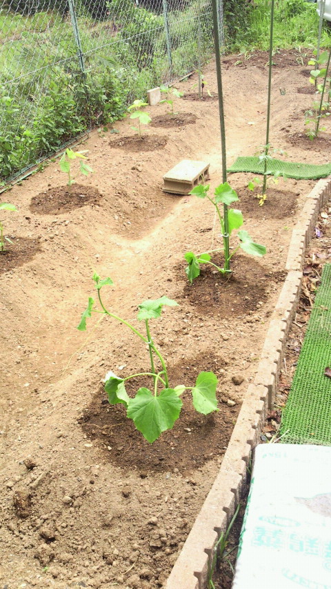 2012061212240000.jpg