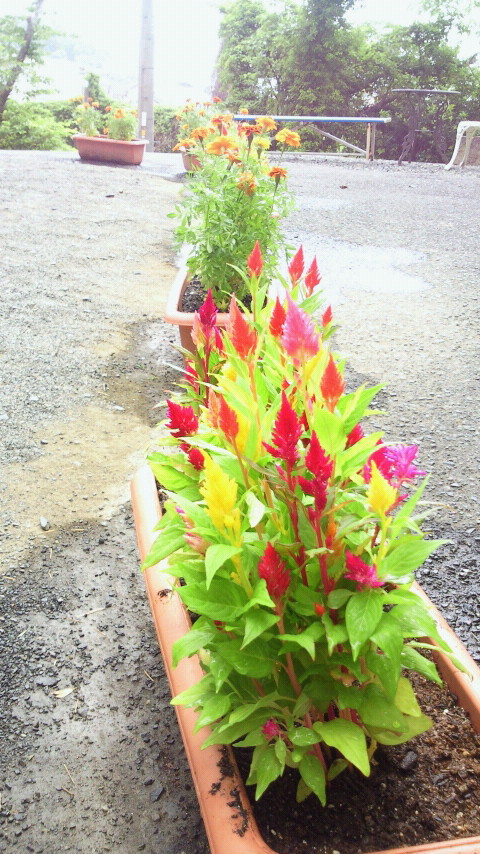 2012061309570000.jpg