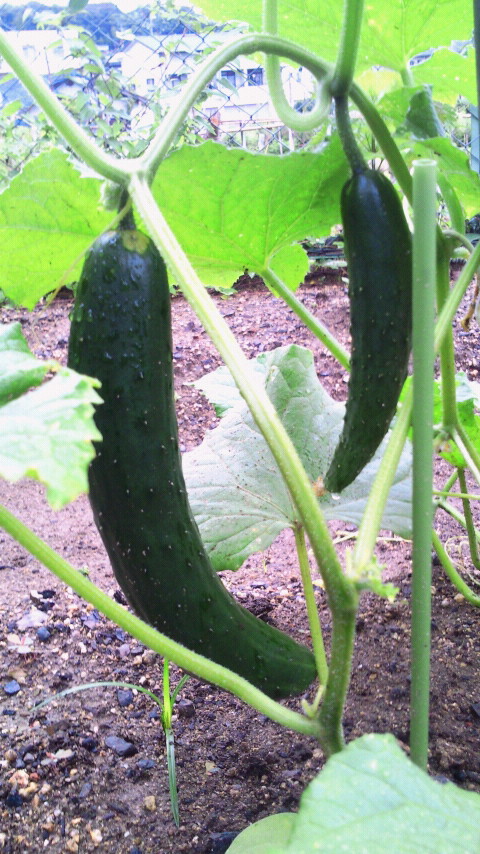 2012070207140000.jpg