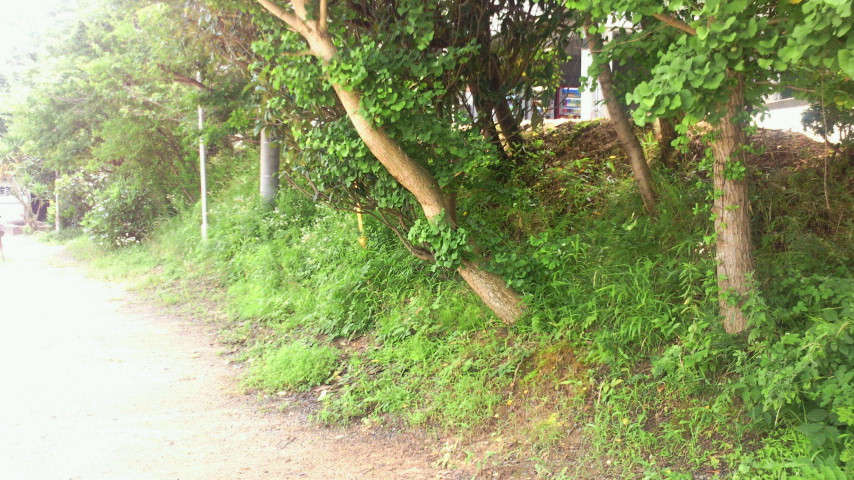 2012071213130000.jpg