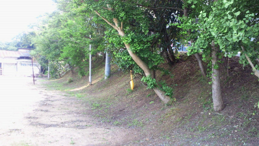 2012071216010000.jpg