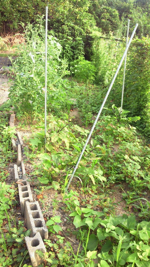 2012072307220000.jpg